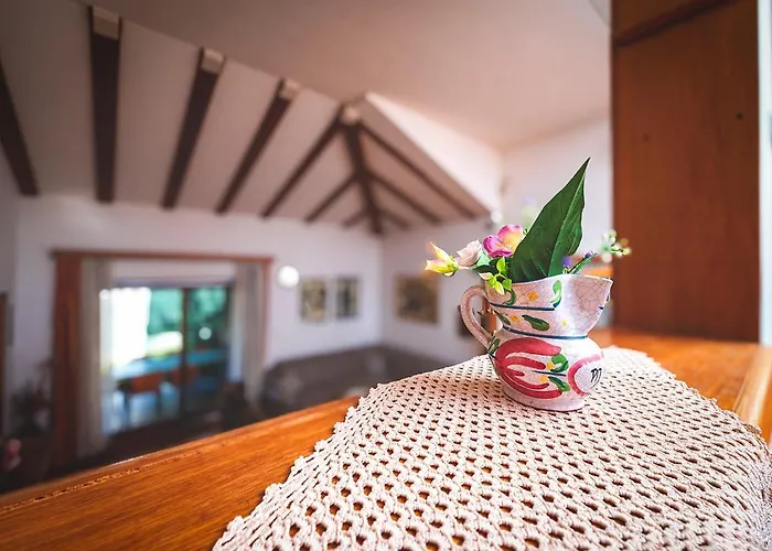 Big Swimming Pool Moonvidal * Pula